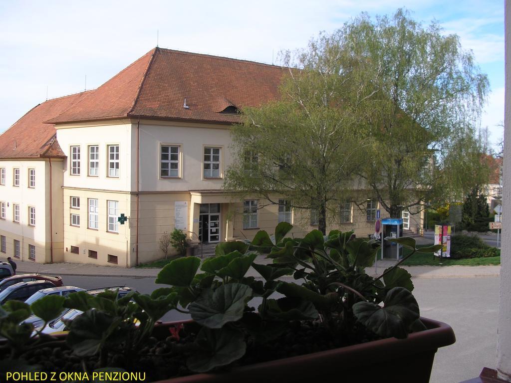 Penzion U Zabaka Mikulov Eksteriør bilde